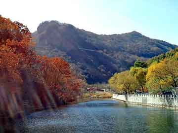 管家婆黑白马报图库，石家庄岩棉保温板